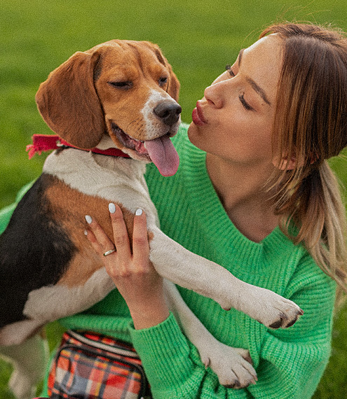 ¿Qué alimentos son buenos para la neutropenia de mi perro?